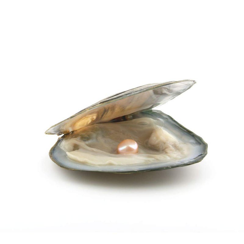 QSLLER 10PCS Freshwater Cultured Pearl Oyster with 7-8mm Oval Pearl(Inside 10pcs Random Colors Pearls) - Image 5